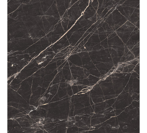 Black Arkadia Керамогранит черный полированный 60х60