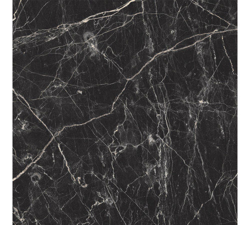 Black Arkadia Керамогранит черный полированный 60х60