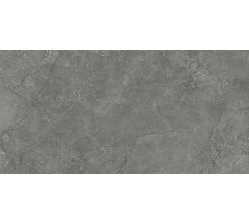 Pluto Grigio Керамогранит серый SG50005320R 59,5х119,1 матовый