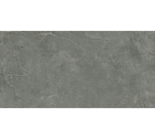 Pluto Grigio Керамогранит серый SG50005320R 59,5х119,1 матовый