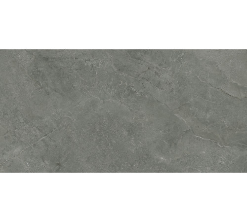 Pluto Grigio Керамогранит серый SG50005320R 59,5х119,1 матовый