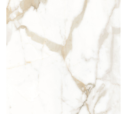 Calacatta Superior Керамогранит белый 60х60 Полированный