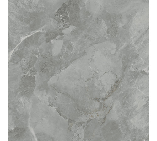 Regnum Grigio Керамогранит серый CR6060G0401R 59,5х59,5 матовый