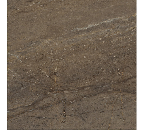 Royal Керамогранит коричневый SG164000N 40,2х40,2