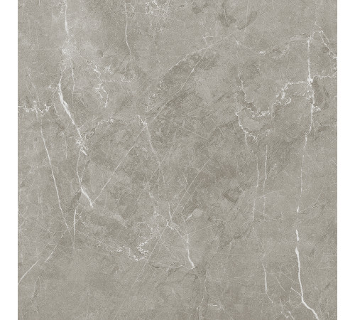 Scandy Керамогранит серый обрезной SG645220R 59,5х59,5