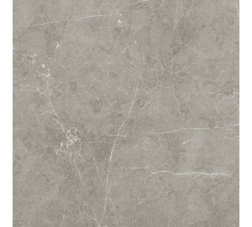 Scandy Керамогранит серый обрезной SG645220R 59,5х59,5