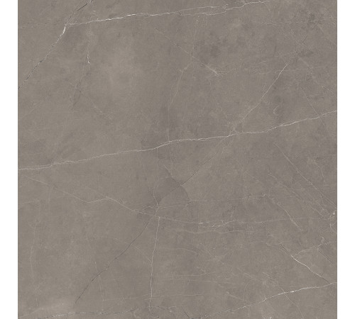 Splash Grey Керамогранит серый 60х60 Сатинированный Карвинг