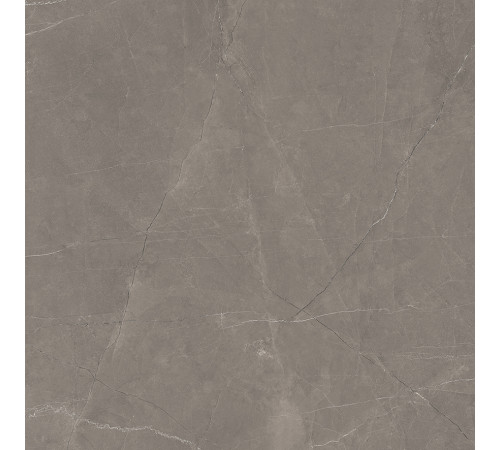 Splash Grey Керамогранит серый 60х60 Сатинированный Карвинг