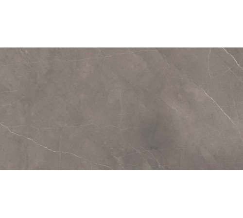 Splash Grey Керамогранит серый 60х120 Сатинированный Карвинг