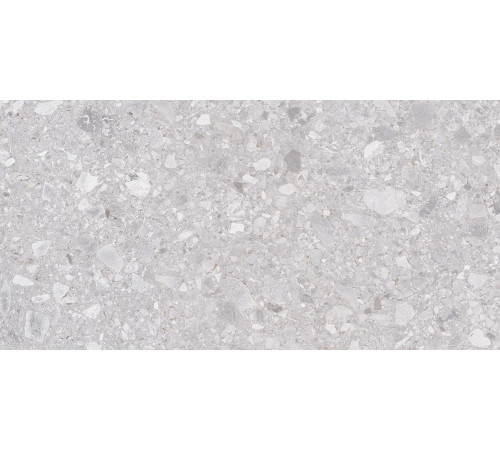 Matrix Керамогранит светло-серый K952681R0001LPER 59,7х119,7