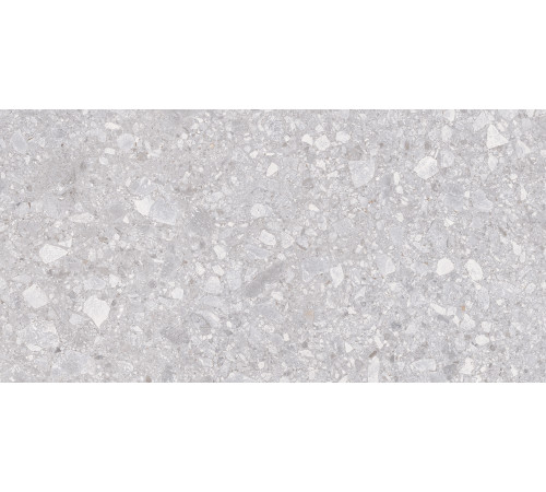 Matrix Керамогранит светло-серый K952681R0001LPER 59,7х119,7