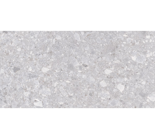 Matrix Керамогранит светло-серый K952681R0001LPER 59,7х119,7
