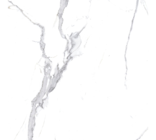 Calacatta Splendid Silver Керамогранит белый 60х60 Полированный