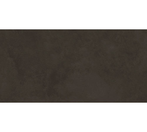 Evolution marron Плитка настенная 48036R 40x80 матовый обрезной