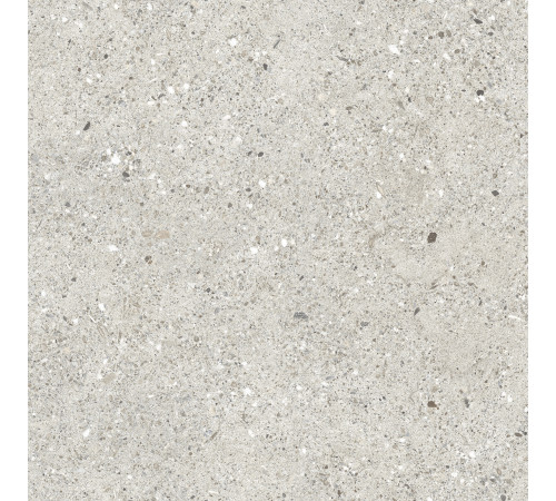 Granito Grigio Керамогранит серый CR6060G0461R 59,5х59,5 матовый