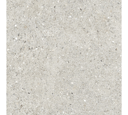 Granito Grigio Керамогранит серый CR6060G0461R 59,5х59,5 матовый