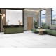 Керамогранит Delacora D120239M Life Calacatta 60x120 белый матовый / противоскользящий под мрамор