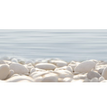 Декор Alma Ceramica DWU09DLM604 Дель Мар / Del Mare 24.9×50
