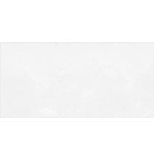 Плитка настенная Alma Ceramica TWU09MNR030 Моноколор / Monocolor 24.9×50