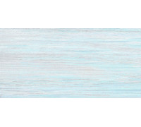 Плитка настенная Alma Ceramica TWU09NRT606 Норт / North 24.9×50