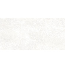 Плитка настенная Alma Ceramica TWU09PMT004 Пьемонт / Piemonte 24.9×50