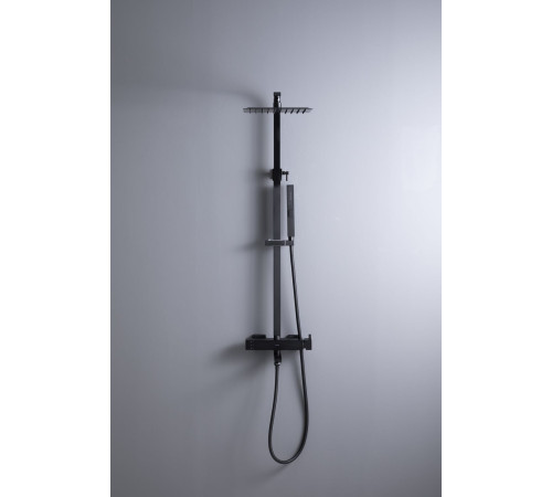 Душевая стойка Allen Brau Infinity 5.21029-31 черный матовый