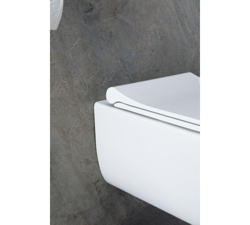 Чаша подвесного унитаза Allen Brau Priority 4.31002.20 белый глянец