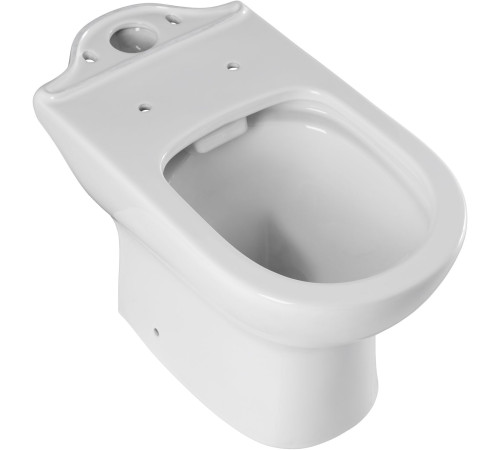 Чаша напольного унитаза Aquanet Ray-C