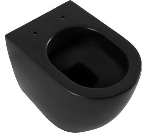 Чаша приставного унитаза Allen Brau Reality 4.32004.31 черный матовый