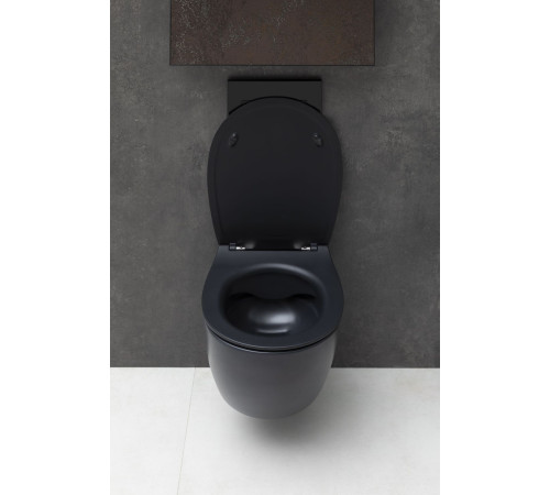 Крышка-сиденье для унитаза Allen Brau Fantasy Smartfix, Soft-Close 4.11005.31 черный матовый