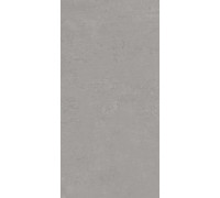 Керамогранит Про Фьюче DD593420R Серый матовый 60х119.5
