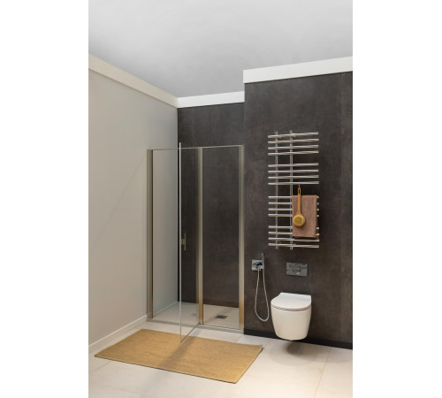 Душевая дверь Allen Brau Priority 90 3.31026.BA серебро браш