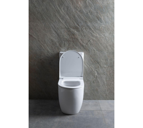 Чаша напольного унитаза Allen Brau Priority 4.31003.20 белый