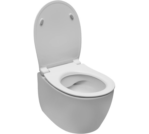 Чаша подвесного унитаза Allen Brau Fantasy 4.11004.21 белый матовый