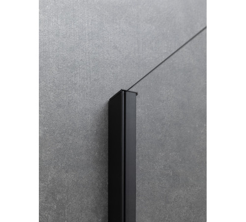 Душевой уголок Allen Brau Priority 160x90 3.31039.BBA + 3.31045.BBA черный браш