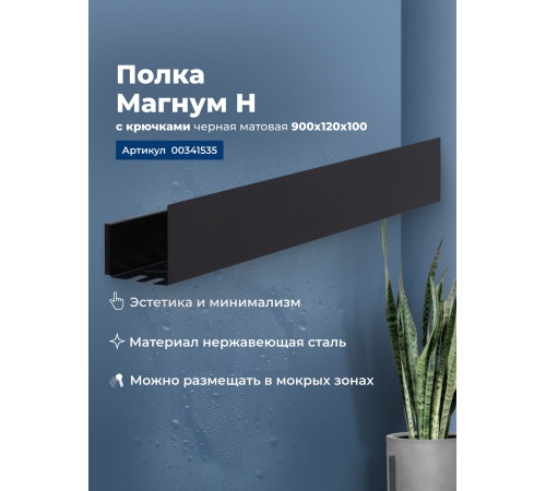 Полка Aquanet Магнум Н 90x12 черная матовая, с крючками