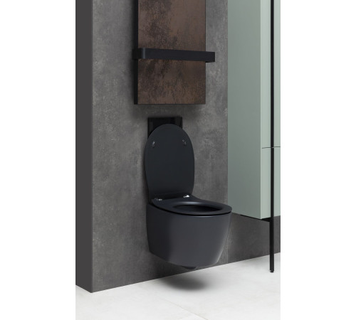 Крышка-сиденье для унитаза Allen Brau Fantasy Smartfix, Soft-Close 4.11005.31 черный матовый