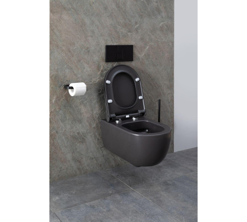 Чаша подвесного унитаза Allen Brau Priority 4.31001.AN антрацит