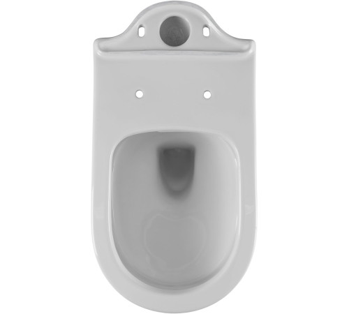 Чаша напольного унитаза Aquanet Ray-C