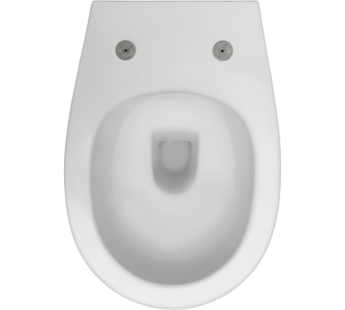 Чаша подвесного унитаза Allen Brau Fantasy 4.11004.21 белый матовый