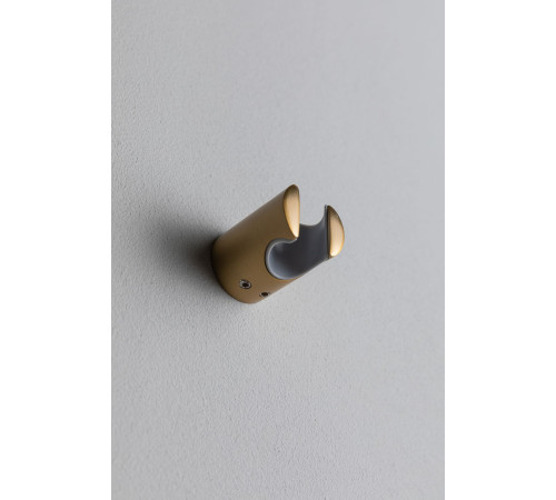 Держатель для душа Allen Brau Priority 5.31С15-GB золото