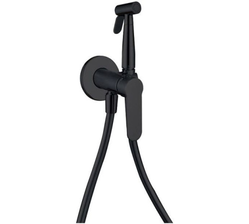 Смеситель с гигиеническим душем Aquanet Passion AF300-52B (с внутренней частью)