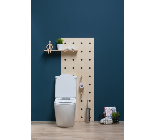 Чаша напольного унитаза Aquanet Rimless Cetus-C1 BL-102N-TPT