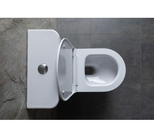 Чаша напольного унитаза Allen Brau Priority 4.31003.20 белый