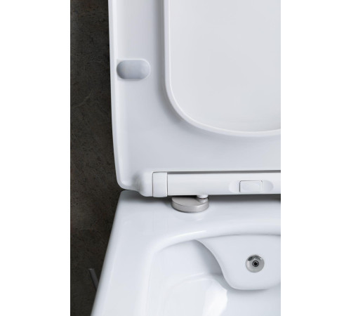 Чаша подвесного унитаза Allen Brau Liberty 4.33009.20 белый