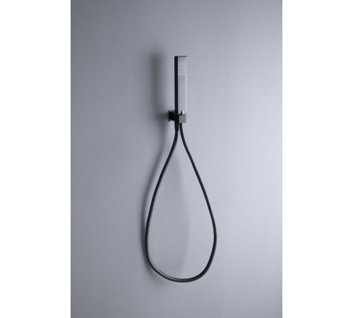 Душевой гарнитур Allen Brau Infinity 5.21021-31 черный матовый