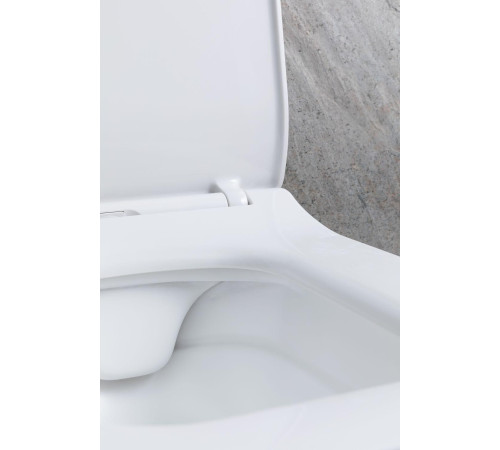 Чаша подвесного унитаза Allen Brau Liberty 4.33007.21 белый матовый