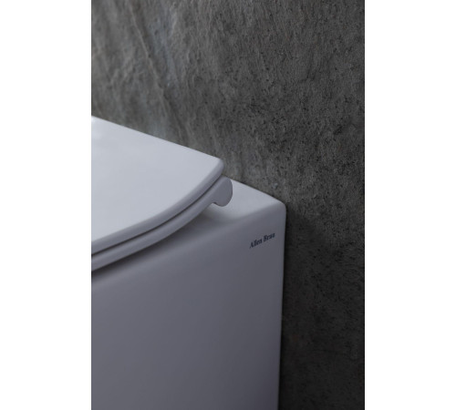 Чаша приставного унитаза Allen Brau Fantasy 4.11007.20 белый глянец