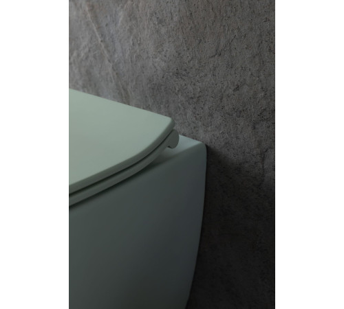 Чаша подвесного унитаза Allen Brau Fantasy 4.11004.MT мятный