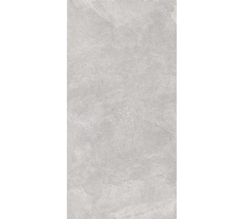 Керамогранит Про Стоун DD503820R Светло-серый матовый 60х119.5
